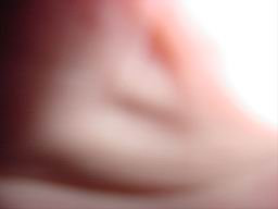 DSC01886.JPG