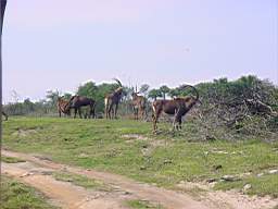 DSC01005.JPG