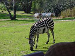 DSC01006.JPG