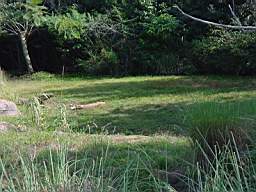 DSC01008.JPG