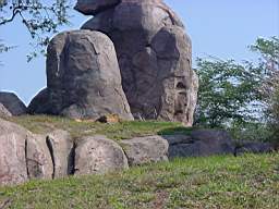 DSC01009.JPG