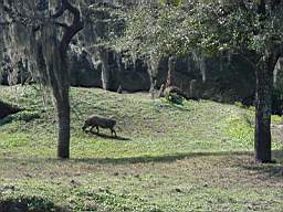DSC01010.JPG