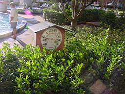 DSC00815.JPG