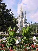 DSC00888.JPG