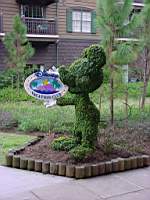 DSC01134.JPG