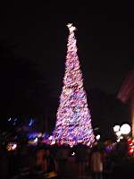 DSC01235.JPG
