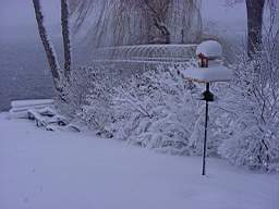DSC00795.JPG