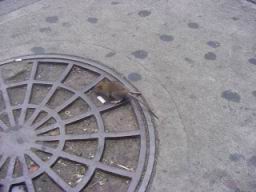 DSC00303.JPG