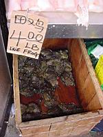 DSC00359.JPG