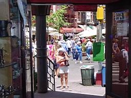 DSC00384.JPG