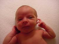 DSC00198.JPG