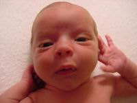 DSC00202.JPG