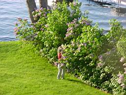 DSC00003.JPG