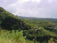 DSC02640.JPG