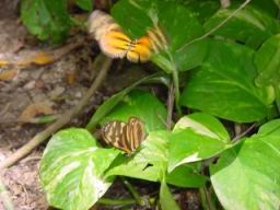 DSC02652.JPG