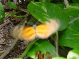 DSC02653.JPG