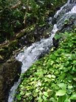 DSC02655.JPG