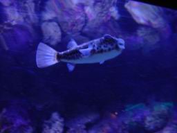 DSC02663.JPG
