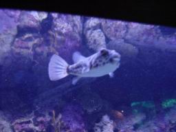 DSC02664.JPG