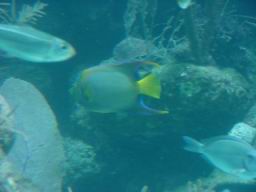 DSC02674.JPG
