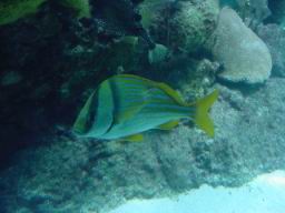 DSC02677.JPG