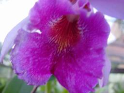 DSC02726.JPG