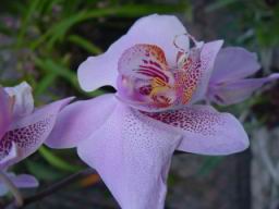 DSC02727.JPG