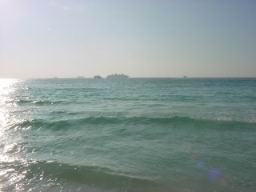 DSC02847.JPG