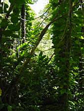 DSC00006.JPG