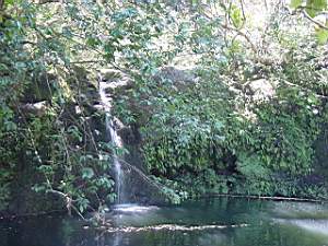 DSC00009.JPG