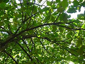 DSC00021.JPG