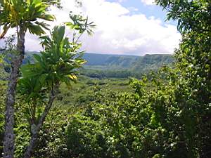 DSC00036.JPG