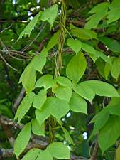 DSC00041.JPG