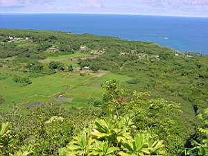 DSC00044.JPG