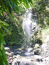 DSC00049.JPG