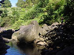 DSC00080.JPG