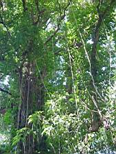 DSC00093.JPG