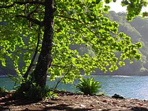 DSC00102.JPG