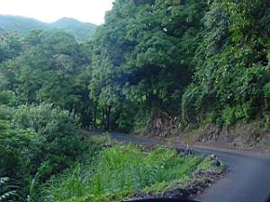 DSC00105.JPG