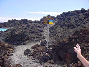 DSC00012.JPG
