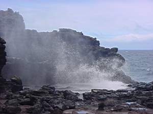DSC00003.JPG