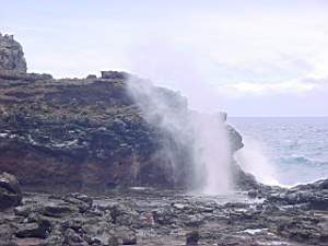 DSC00005.JPG