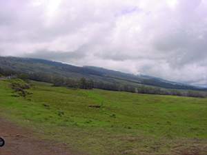 DSC00018.JPG
